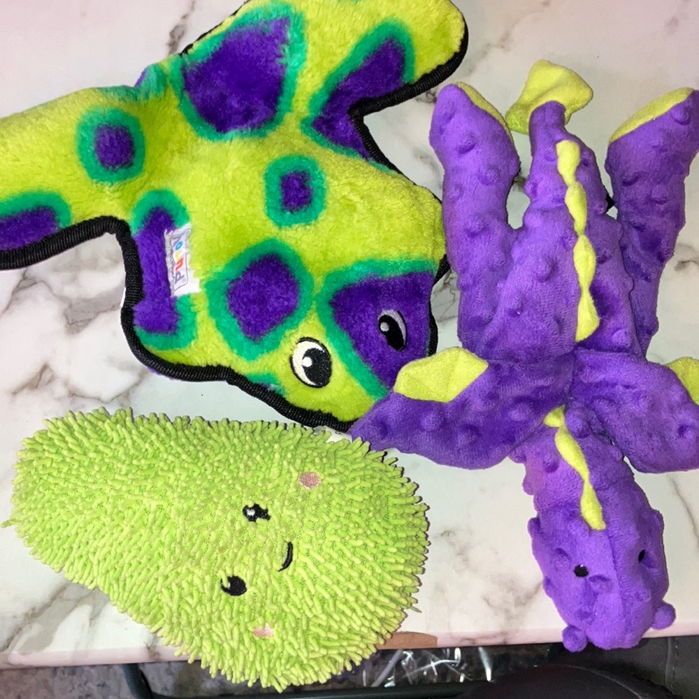 Dog Toy Set - Green and Purple Frog, Dragon,‎ Pear Squeaker Crinkle Textures